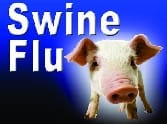 swine flu the end